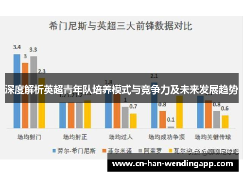 深度解析英超青年队培养模式与竞争力及未来发展趋势