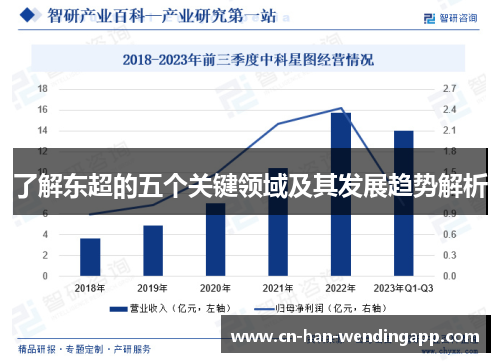 了解东超的五个关键领域及其发展趋势解析