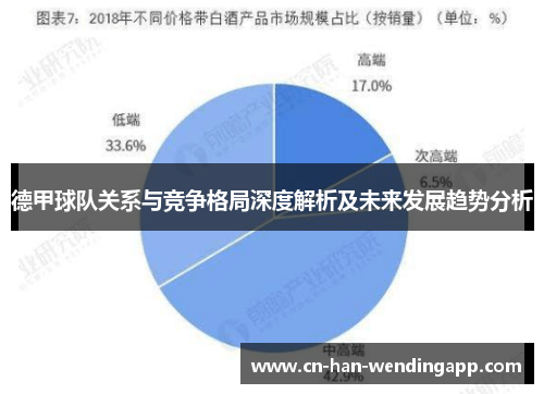 德甲球队关系与竞争格局深度解析及未来发展趋势分析 德甲球队关系与竞争格局深度解析及未来发展趋势分析