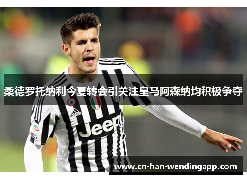 桑德罗托纳利今夏转会引关注皇马阿森纳均积极争夺 桑德罗托纳利今夏转会引关注皇马阿森纳均积极争夺