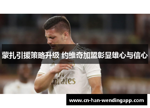 蒙扎引援策略升级 约维奇加盟彰显雄心与信心