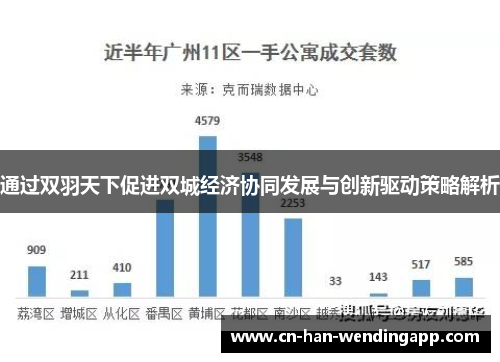 通过双羽天下促进双城经济协同发展与创新驱动策略解析