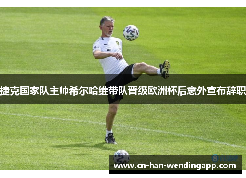 捷克国家队主帅希尔哈维带队晋级欧洲杯后意外宣布辞职